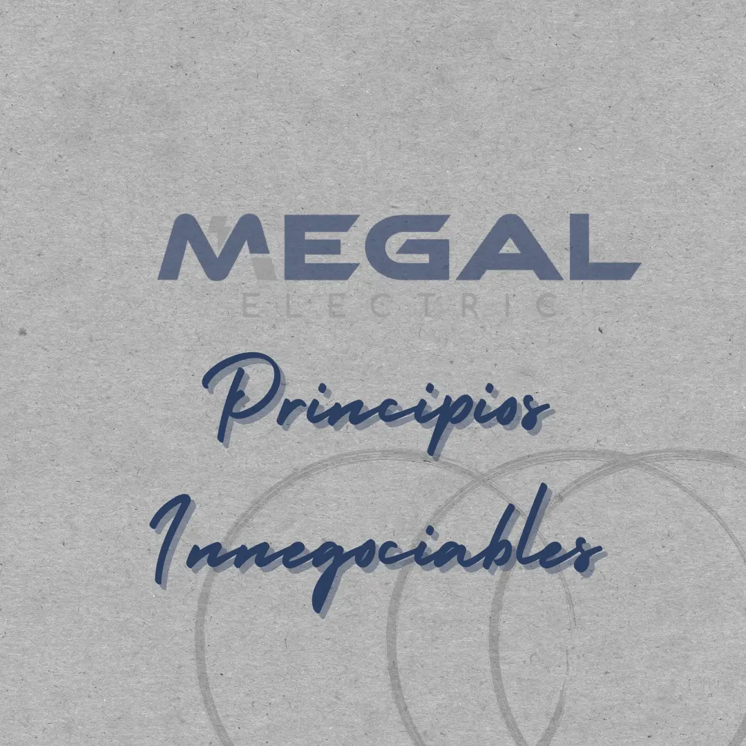 imagen caratula de los principios innegociables de la empresa principios innegopciables