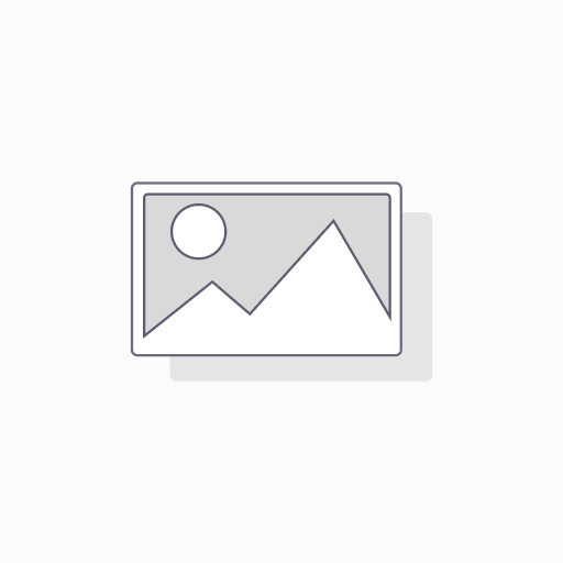MODULO TOMA SCHUKO BLANCO C/ PLACA ALPES CURVE