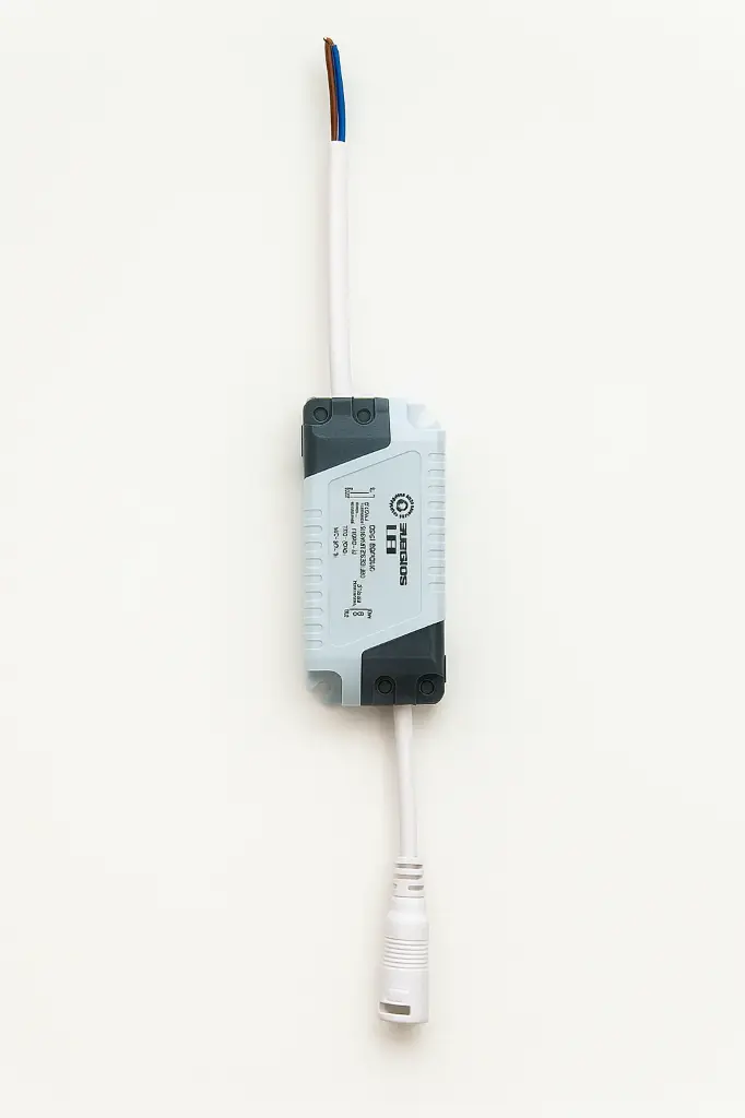 DRIVER 24W BIVOLT 