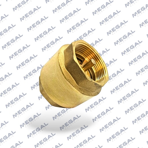 [RAMOS-14405] VALVULA DE RETENCION VERTICAL 2" 