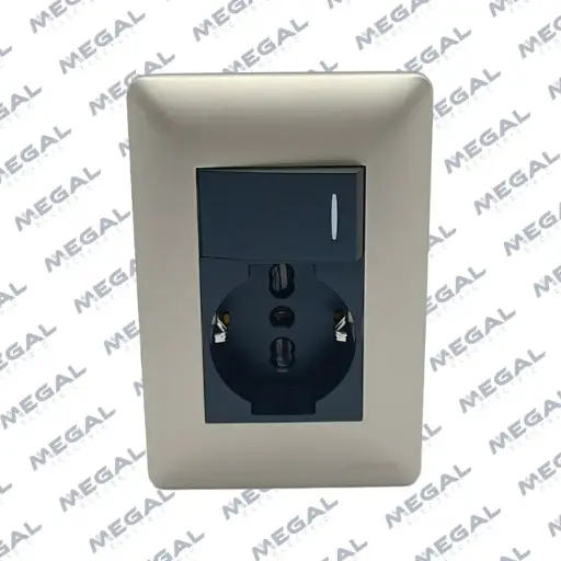 [ELEKTRON- C19945-1] MODULO TOMA SCHUKO+INTERRUPTOR CHAMP/NEG C/ PLACA ALPES CURVE 