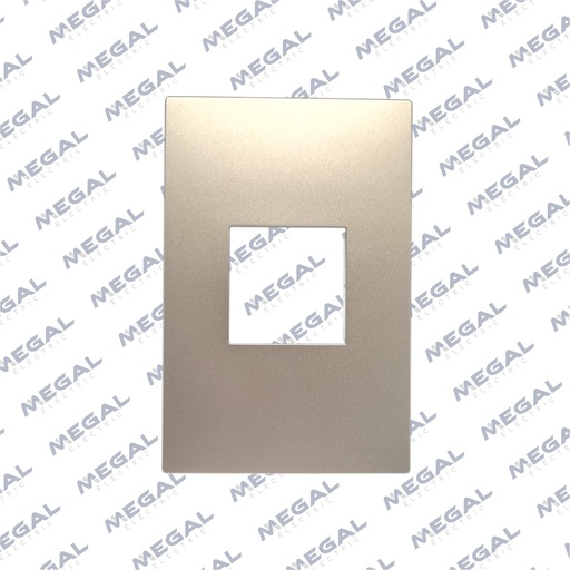 [ELEKTRON- C19931-1] PLACA 1 MOD 36MM PARIS LIGHT CHAMPAGNE 